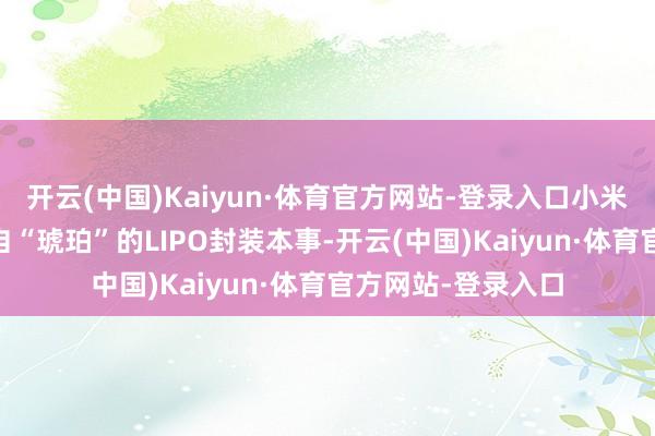 开云(中国)Kaiyun·体育官方网站-登录入口小米15还选拔灵感来自“琥珀”的LIPO封装本事-开云(中国)Kaiyun·体育官方网站-登录入口