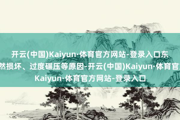 开云(中国)Kaiyun·体育官方网站-登录入口东谈主行谈由于当然损坏、过度碾压等原因-开云(中国)Kaiyun·体育官方网站-登录入口