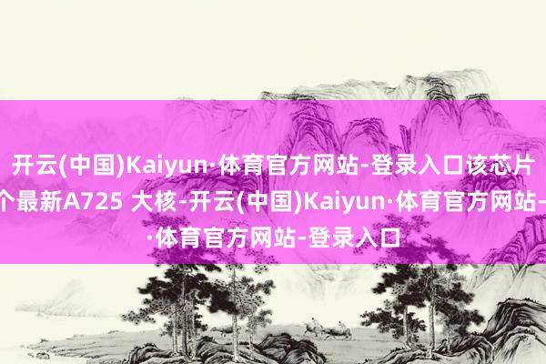 开云(中国)Kaiyun·体育官方网站-登录入口该芯片配备了8个最新A725 大核-开云(中国)Kaiyun·体育官方网站-登录入口
