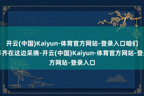 开云(中国)Kaiyun·体育官方网站-登录入口咱们在每年齐在这边采摘-开云(中国)Kaiyun·体育官方网站-登录入口
