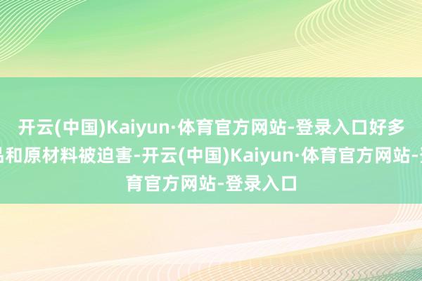 开云(中国)Kaiyun·体育官方网站-登录入口好多工业居品和原材料被迫害-开云(中国)Kaiyun·体育官方网站-登录入口