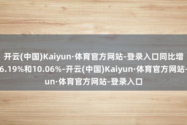 开云(中国)Kaiyun·体育官方网站-登录入口同比增幅分袂为6.19%和10.06%-开云(中国)Kaiyun·体育官方网站-登录入口