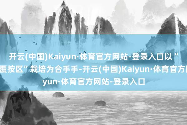 开云(中国)Kaiyun·体育官方网站-登录入口以“科技金融京西覆按区”栽培为合手手-开云(中国)Kaiyun·体育官方网站-登录入口