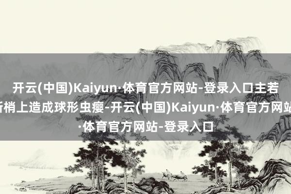开云(中国)Kaiyun·体育官方网站-登录入口主若是在梭梭新梢上造成球形虫瘿-开云(中国)Kaiyun·体育官方网站-登录入口