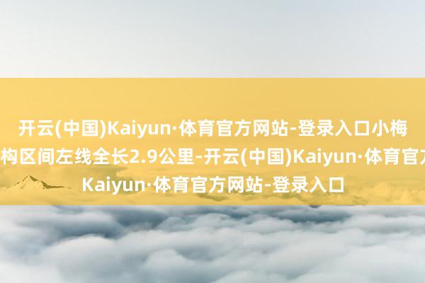 开云(中国)Kaiyun·体育官方网站-登录入口小梅沙站至溪涌站盾构区间左线全长2.9公里-开云(中国)Kaiyun·体育官方网站-登录入口