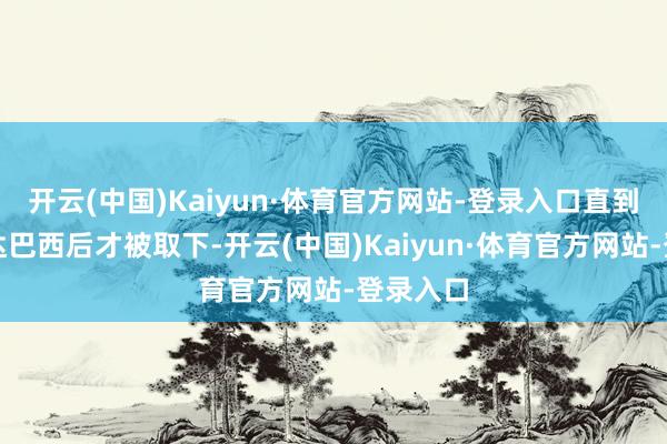 开云(中国)Kaiyun·体育官方网站-登录入口直到飞机抵达巴西后才被取下-开云(中国)Kaiyun·体育官方网站-登录入口