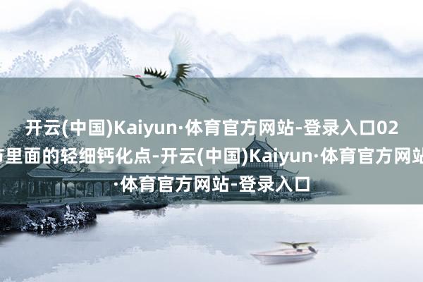 开云(中国)Kaiyun·体育官方网站-登录入口02钙化点结节里面的轻细钙化点-开云(中国)Kaiyun·体育官方网站-登录入口