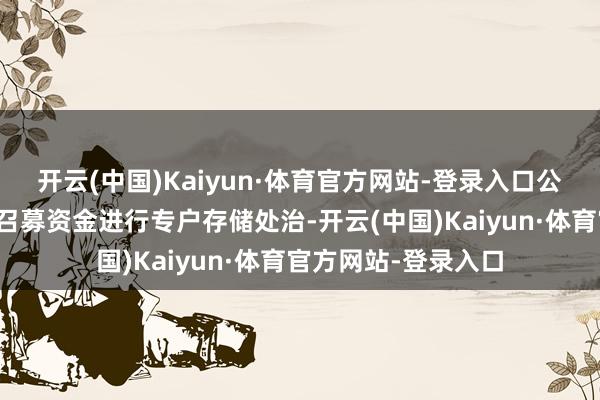 开云(中国)Kaiyun·体育官方网站-登录入口公司及全资子公司对召募资金进行专户存储处治-开云(中国)Kaiyun·体育官方网站-登录入口